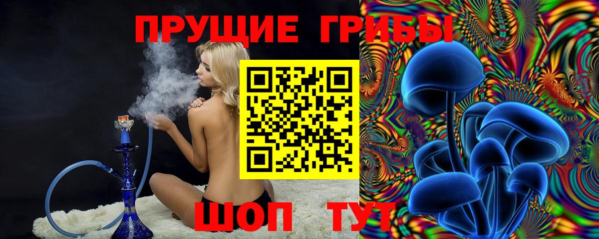 Галлюциногенные грибы Cubensis Калач-на-Дону