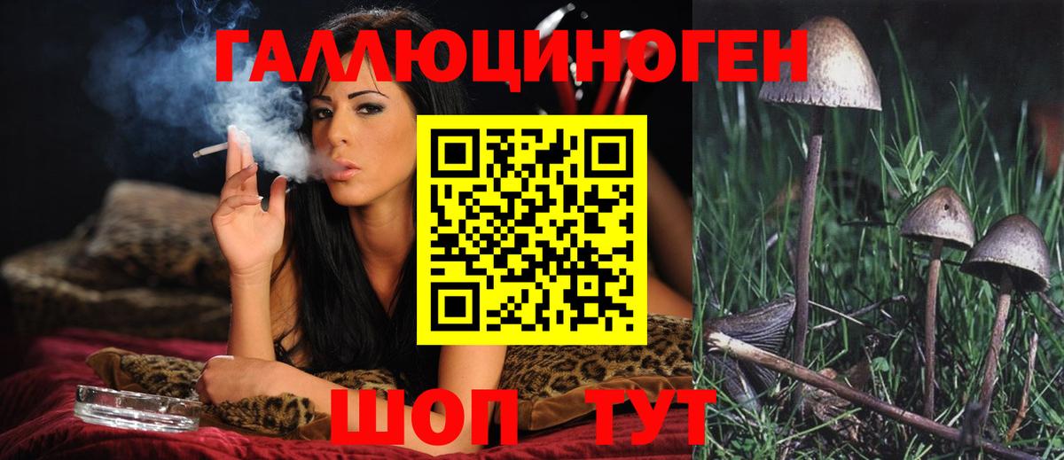 Галлюциногенные грибы Psilocybine cubensis  Галлюциногенные грибы Magic Shrooms  Калач-на-Дону  Вход с VPN 