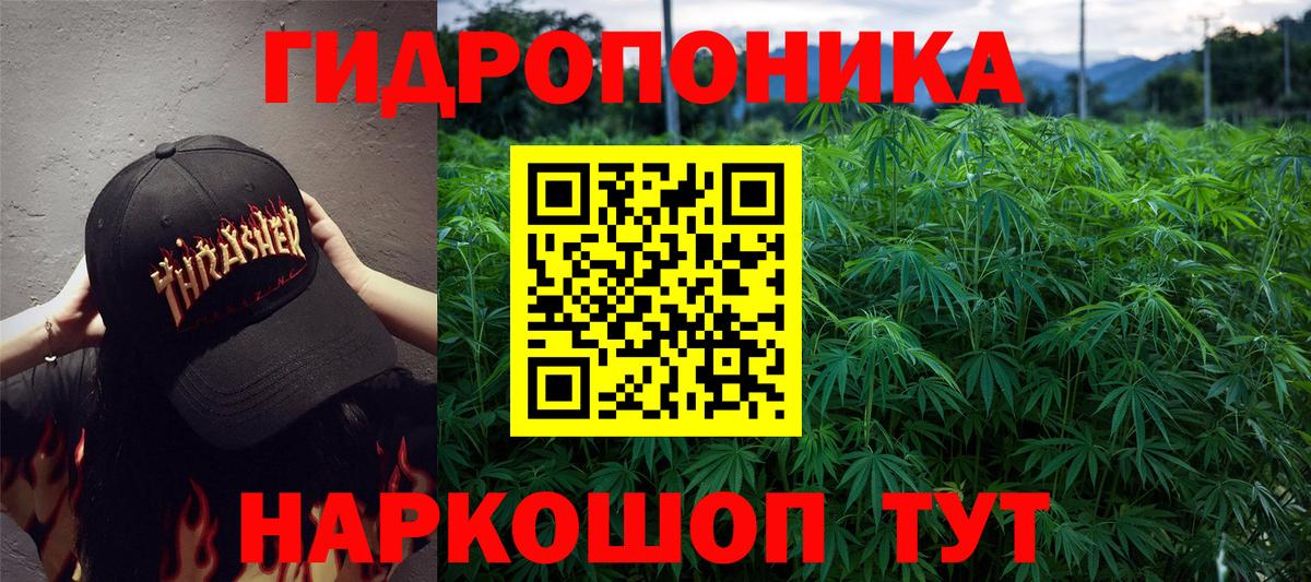 Бошки марихуана план Калач-на-Дону